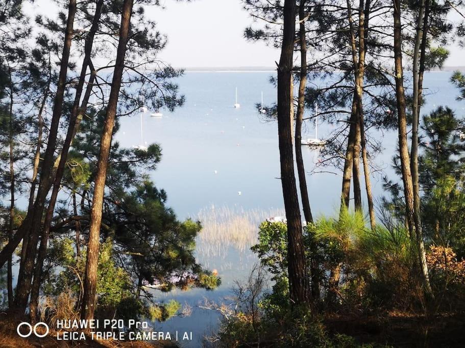 Apartment Cocon Nature Entre Et L Ocean Carcans